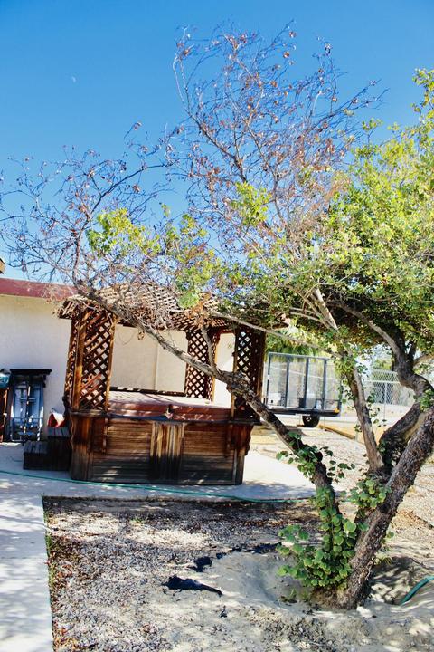 38751 Rancho Los Coyotes Dr, Indio, CA 92203 photo 20