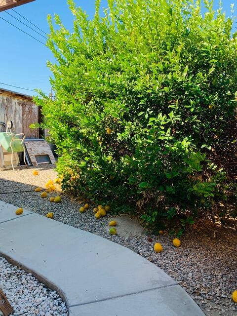 38751 Rancho Los Coyotes Dr, Indio, CA 92203 photo 21