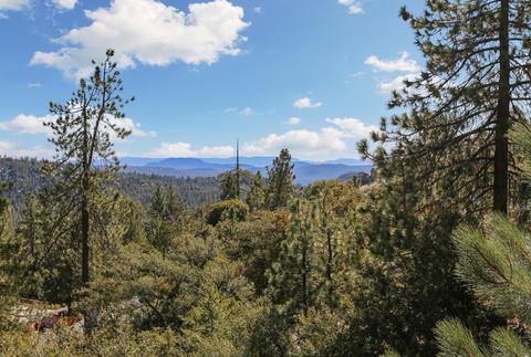 54710 Falling Leaf Dr, Idyllwild, CA 92549 photo 22