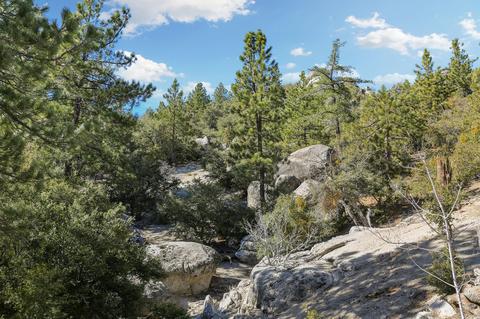 54710 Falling Leaf Dr, Idyllwild, CA 92549 photo 48