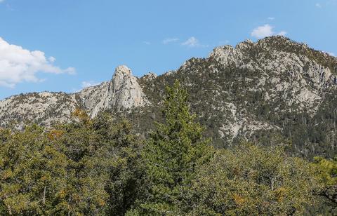 54710 Falling Leaf Dr, Idyllwild, CA 92549 photo 35