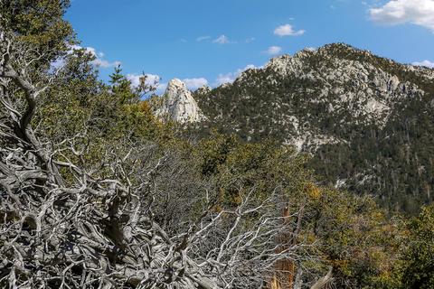54710 Falling Leaf Dr, Idyllwild, CA 92549 photo 50