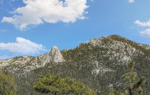 54710 Falling Leaf Dr, Idyllwild, CA 92549 photo 4