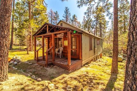 54575 Pine Crest Ave, Idyllwild, CA 92549 photo 3