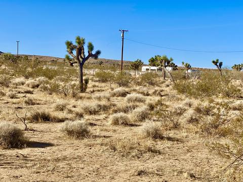 574 Anita Ave, Landers, CA 92285 photo 15