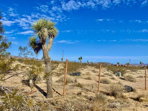 574 Anita Ave, Landers, CA 92285 photo 8