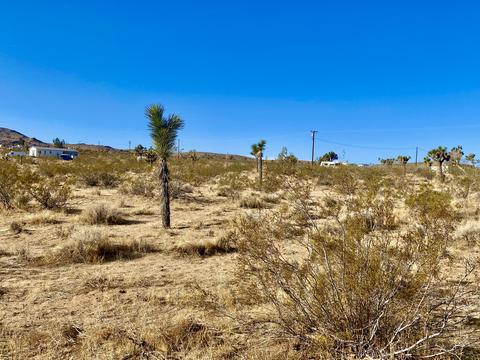 574 Anita Ave, Landers, CA 92285 photo 12