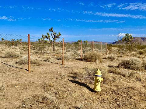 574 Anita Ave, Landers, CA 92285 photo 2
