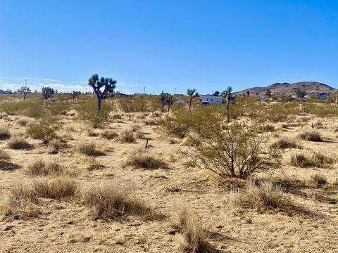 574 Anita Ave, Landers, CA 92285 photo 18