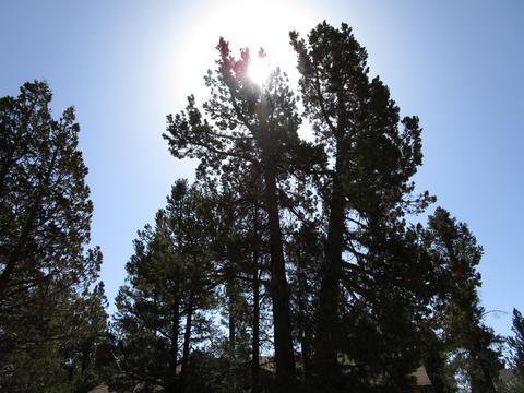 1112 Mount Whitney Dr, Big Bear City, CA 92314 photo 26