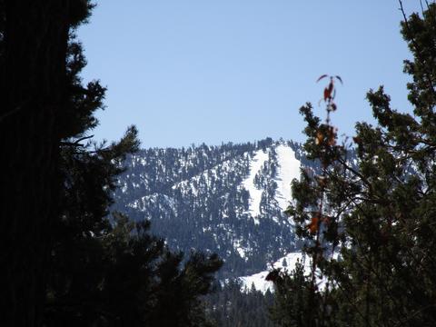 1112 Mount Whitney Dr, Big Bear City, CA 92314 photo 24