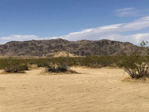 56875 Little Trl, Landers, CA 92285 photo 13