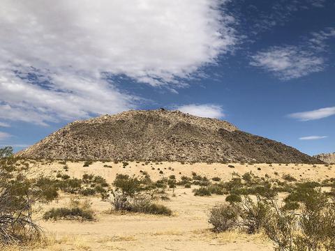 56875 Little Trl, Landers, CA 92285 photo 12