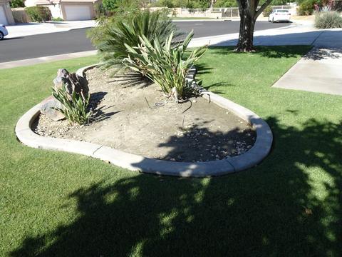 83290 Mango Walk, Indio, CA 92201 photo 3