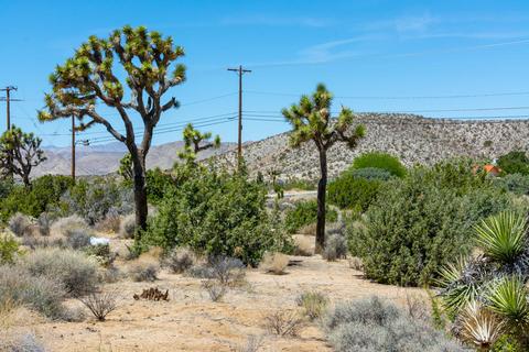 58035 Carlyle Dr, Yucca Valley, CA 92284 photo 41