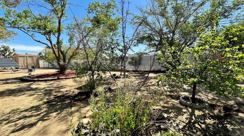 7463 Dumosa Ave, Yucca Valley, CA 92284 photo 40