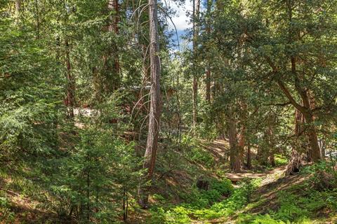 25840 Wayne Dr, Idyllwild, CA 92549 photo 46