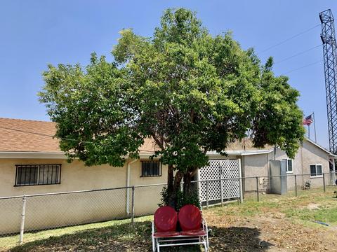 887 Herberts Ln, Colton, CA 92324 photo 19