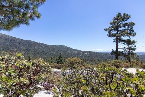 54664 Falling Leaf Dr, Idyllwild, CA 92549 photo 8