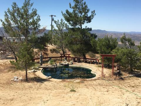 59690 Everett Rd, Anza, CA 92539 photo 13