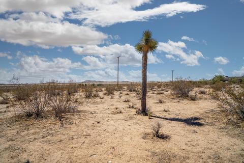57425 Camulos Rd, Landers, CA 92285 photo 11