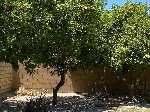 47601 Manteca Ct, Indio, CA 92201 photo 24