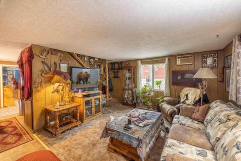 877 Leonard Ln, Sugarloaf, CA 92386 photo 15