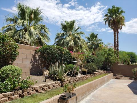 45262 Big Canyon St, Indio, CA 92201 photo 7