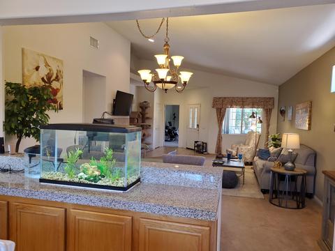 45262 Big Canyon St, Indio, CA 92201 photo 13