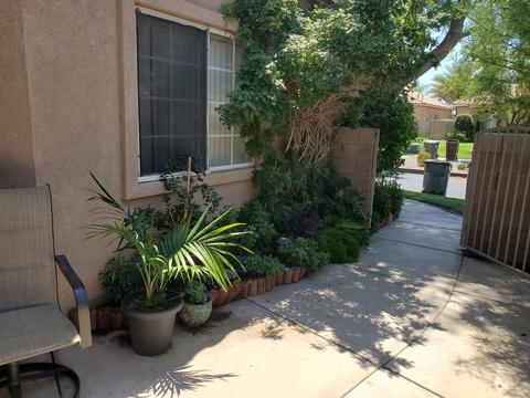 45262 Big Canyon St, Indio, CA 92201 photo 4