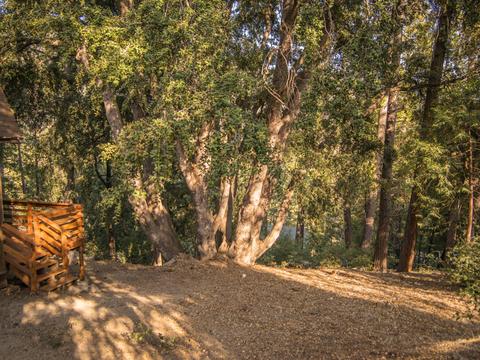 54751 Falling Leaf Dr, Idyllwild, CA 92549 photo 31