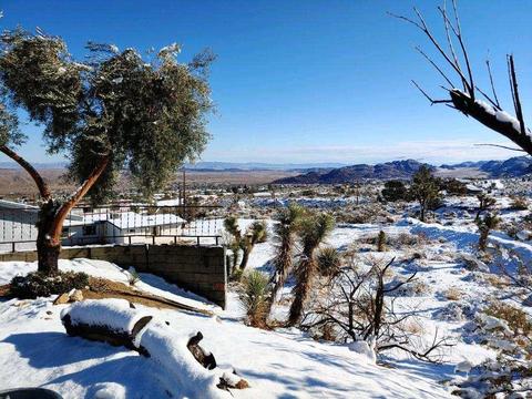 60343 Sitka Ln, Joshua Tree, CA 92252 photo 46