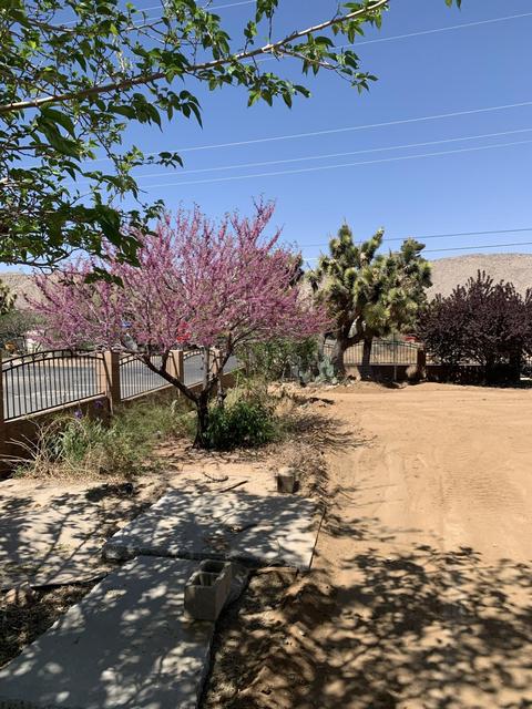 7715 Inca Trl, Yucca Valley, CA 92284 photo 49