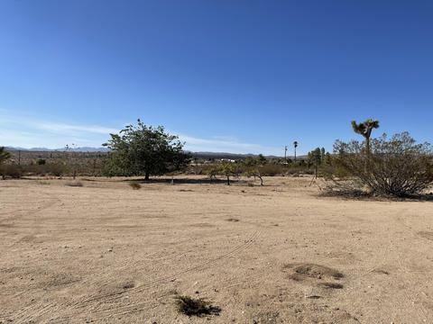 229 Soledad Ave, Yucca Valley, CA 92284 photo 14
