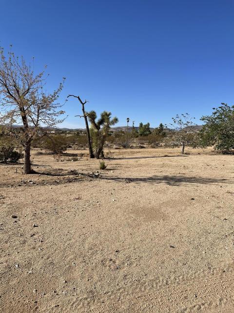 229 Soledad Ave, Yucca Valley, CA 92284 photo 21