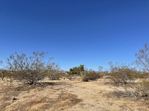 229 Soledad Ave, Yucca Valley, CA 92284 photo 37