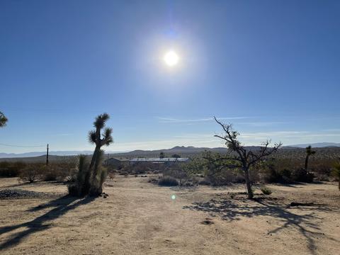 229 Soledad Ave, Yucca Valley, CA 92284 photo 7