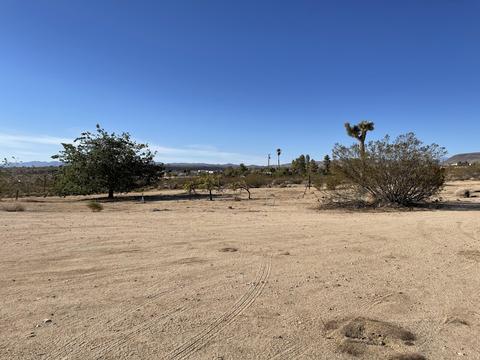 229 Soledad Ave, Yucca Valley, CA 92284 photo 15
