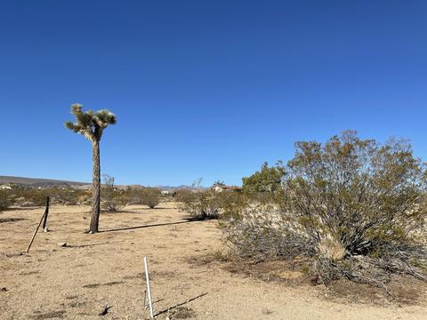 229 Soledad Ave, Yucca Valley, CA 92284 photo 16