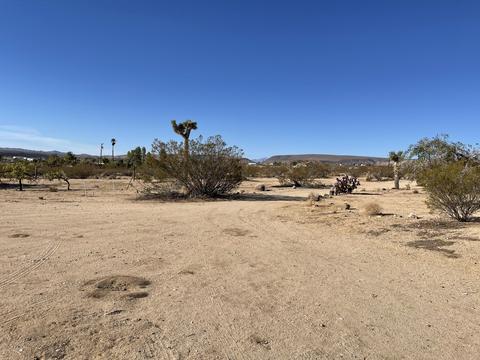 229 Soledad Ave, Yucca Valley, CA 92284 photo 13