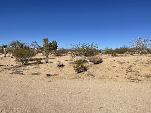 229 Soledad Ave, Yucca Valley, CA 92284 photo 12