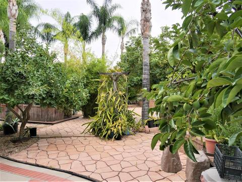 6928 Dover Ct, Highland, CA 92346 photo 19