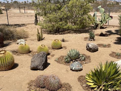 1342 Cherokee Trl, Yucca Valley, CA 92284 photo 7