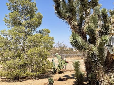 1342 Cherokee Trl, Yucca Valley, CA 92284 photo 8