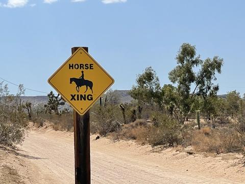 1342 Cherokee Trl, Yucca Valley, CA 92284 photo 24