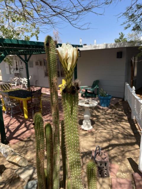 1342 Cherokee Trl, Yucca Valley, CA 92284 photo 11