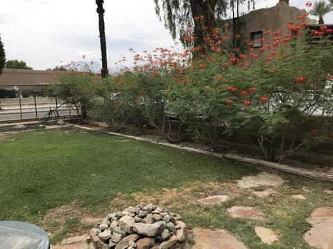46161 Madison St, Indio, CA 92201 photo 5