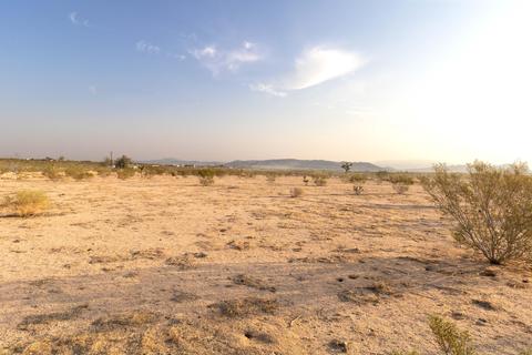 56720 Amargon Rd, Landers, CA 92285 photo 5