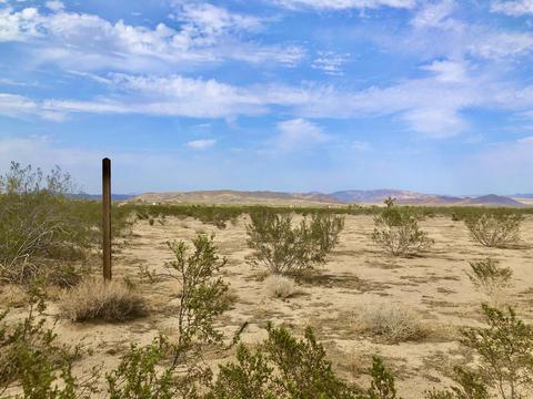 56720 Amargon Rd, Landers, CA 92285 photo 25