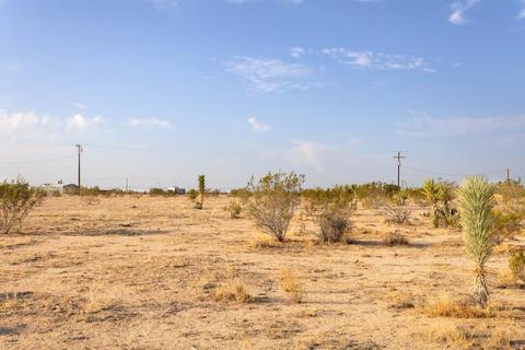56720 Amargon Rd, Landers, CA 92285 photo 2